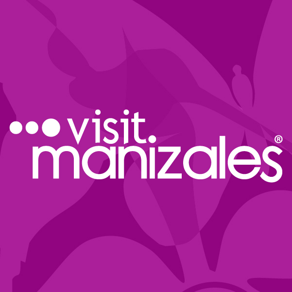 Plan de trabajo Visit Mnaizales