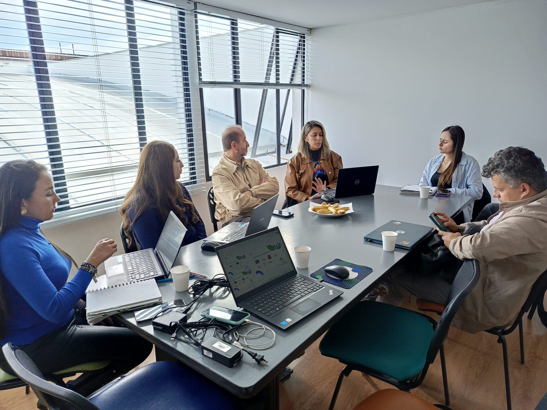 Comite consultivos