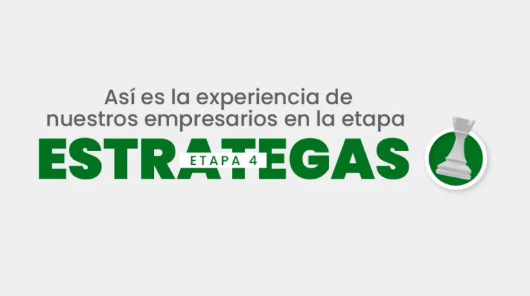 Experiencia Etapa 4 Estrategas