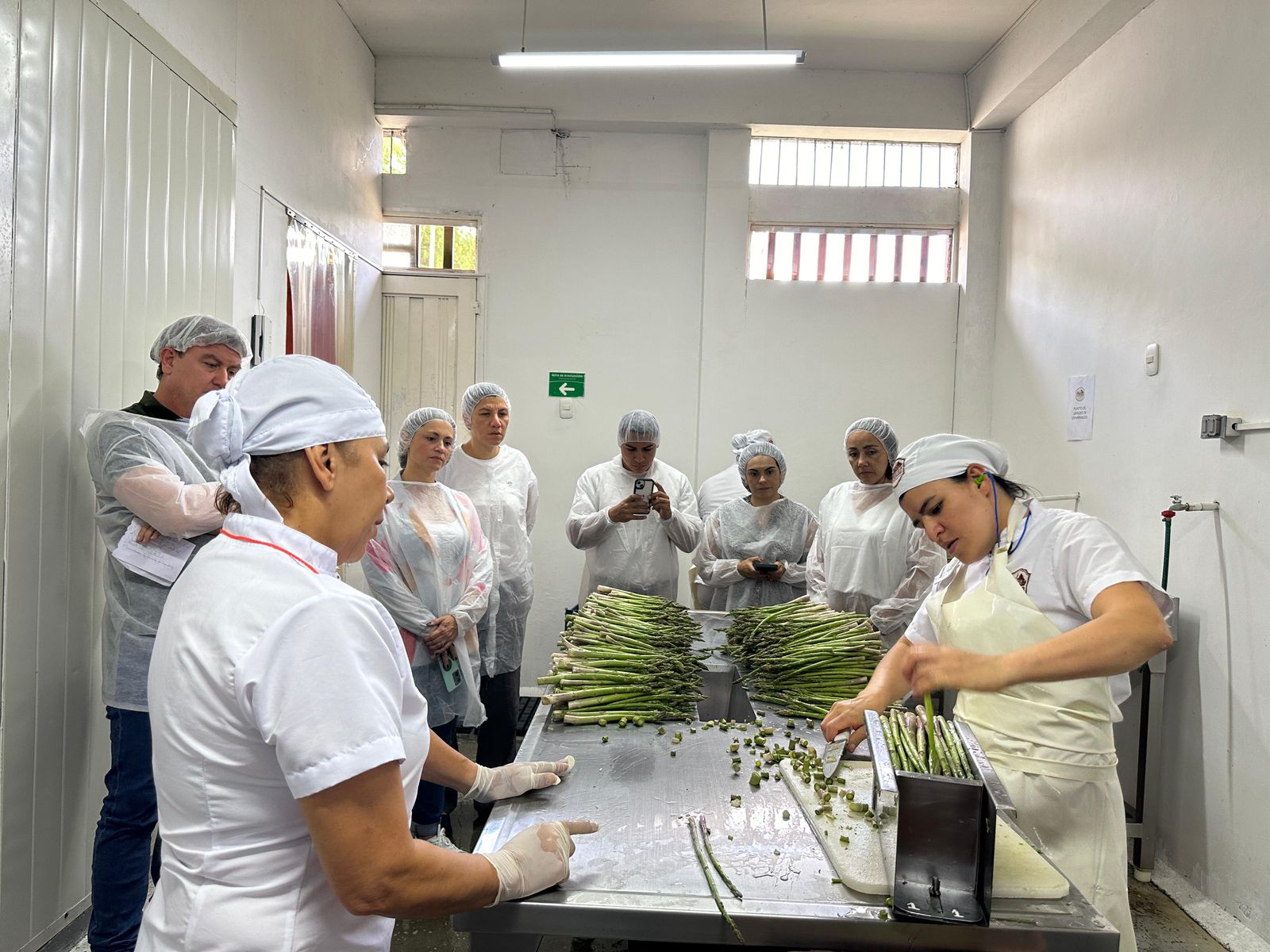 Fábricas de Productividad y Sostenibilidad