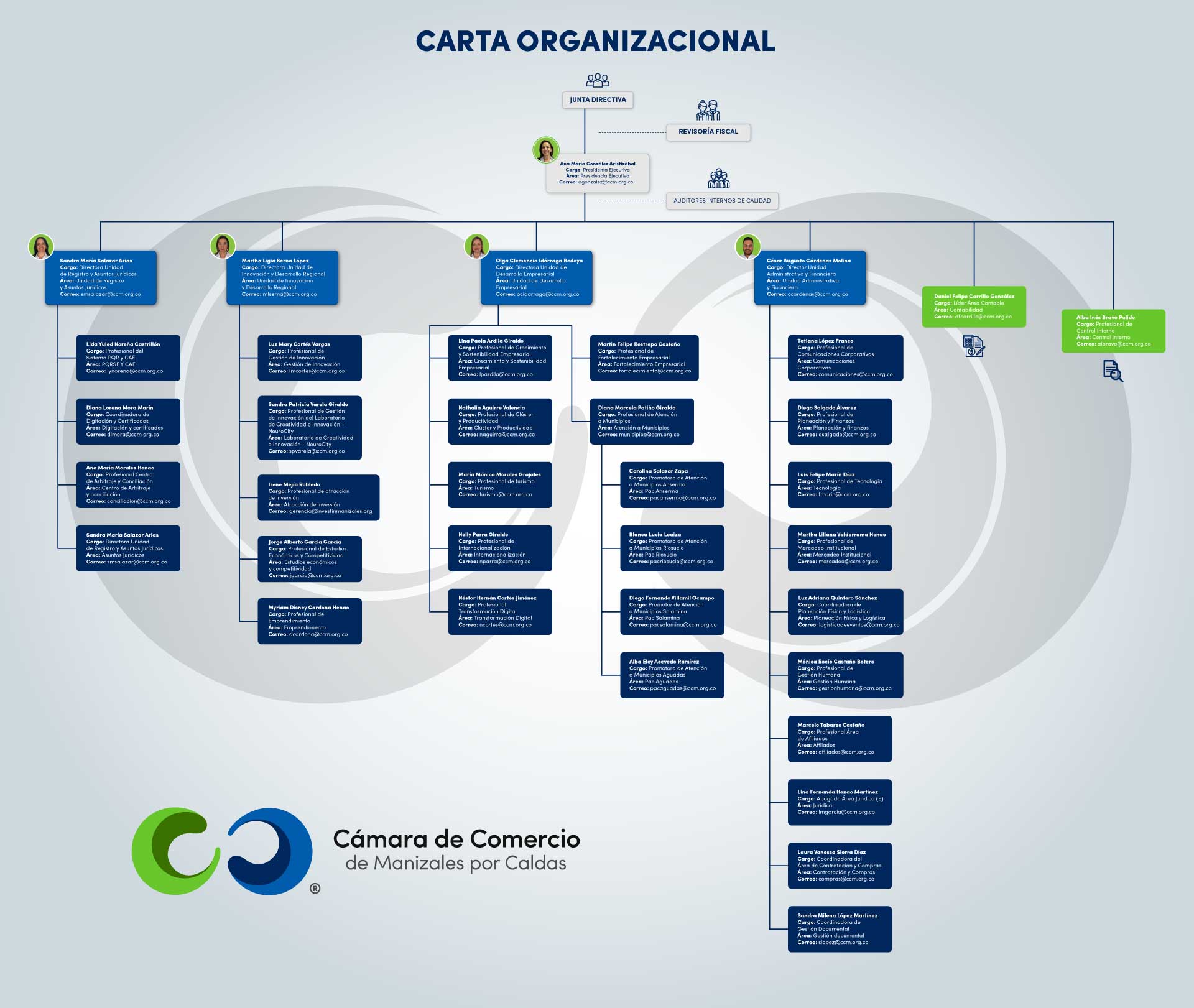 Carta Organizacional 2025