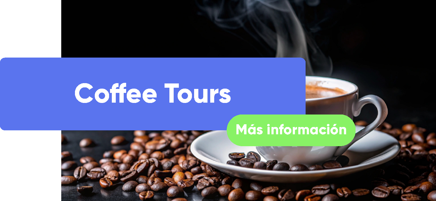 BIFOR-TOURS (13)