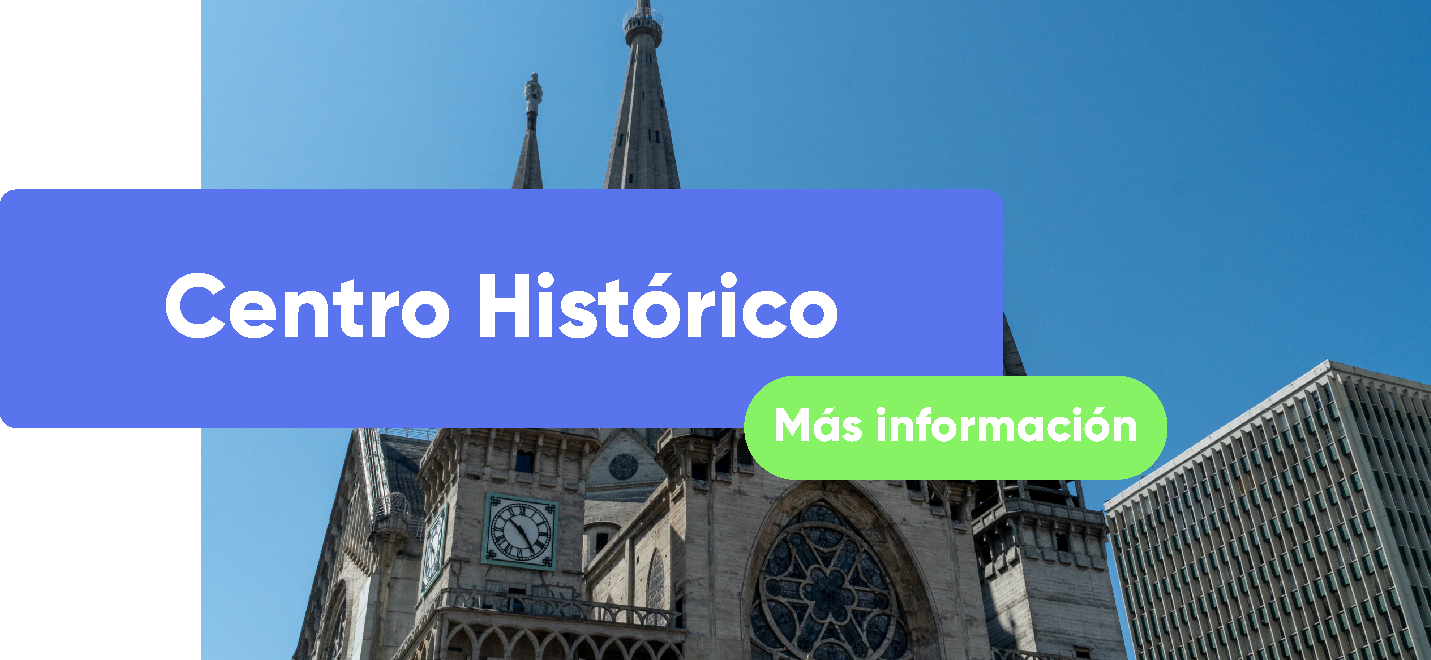 BIFOR-TOURS (14)