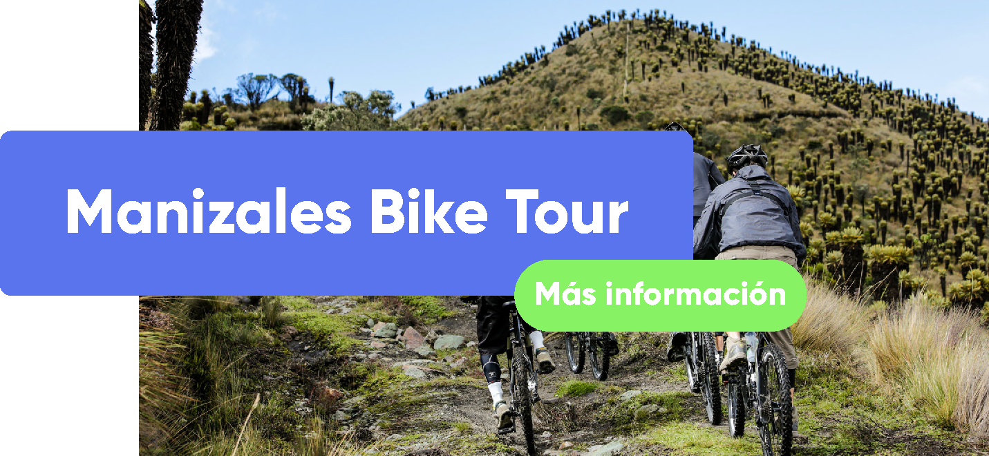 BIFOR-TOURS (16)