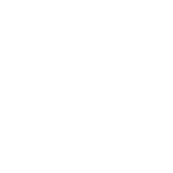 GM blanco
