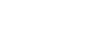 Logo Alpina blanco