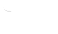 Bifor Evento de Innovación Empresarial Móvil