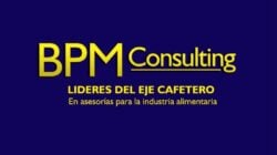 Logo BPM Consulting
