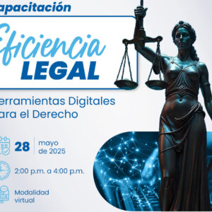 Eficiencia Legal
